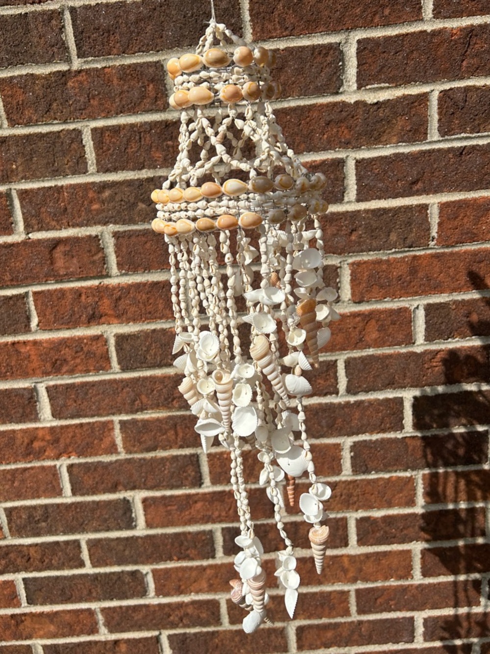 Shell chandelier